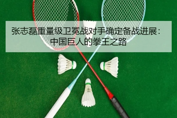 张志磊重量级卫冕战对手确定备战进展：中国巨人的拳王之路