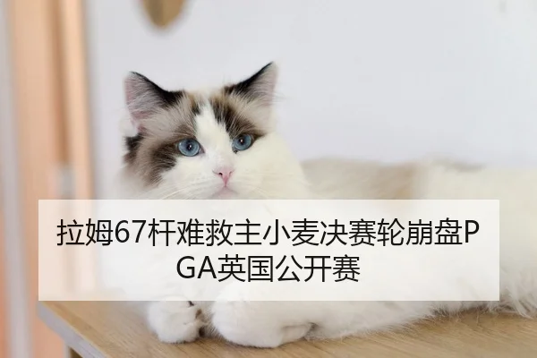 拉姆67杆难救主小麦决赛轮崩盘PGA英国公开赛