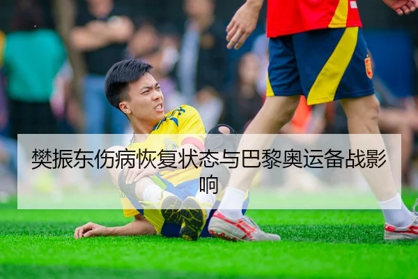 樊振东伤病恢复状态与巴黎奥运备战影响